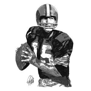 Bart Starr Green Bay Packers Quarterback Football Sports Poster Print Art 18x24